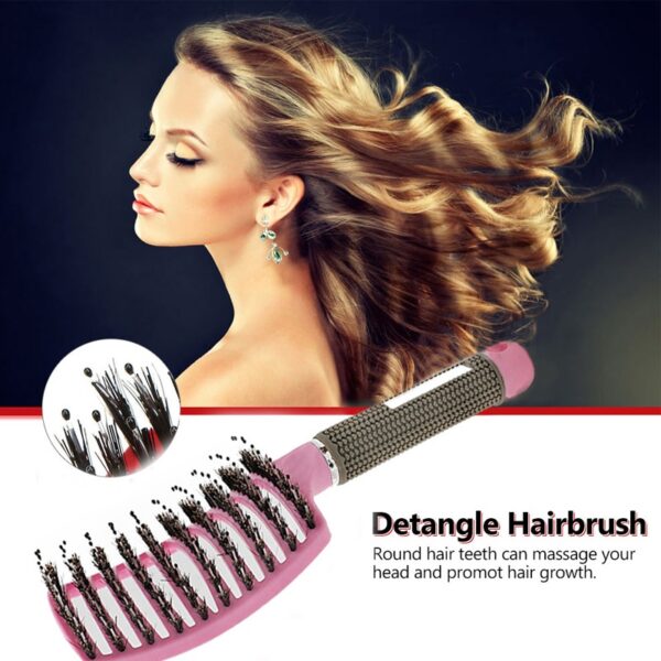 Detangler Hair Brush: Anti-Klit, Bristle Nylon, Scalp Massage, Teaser Comb